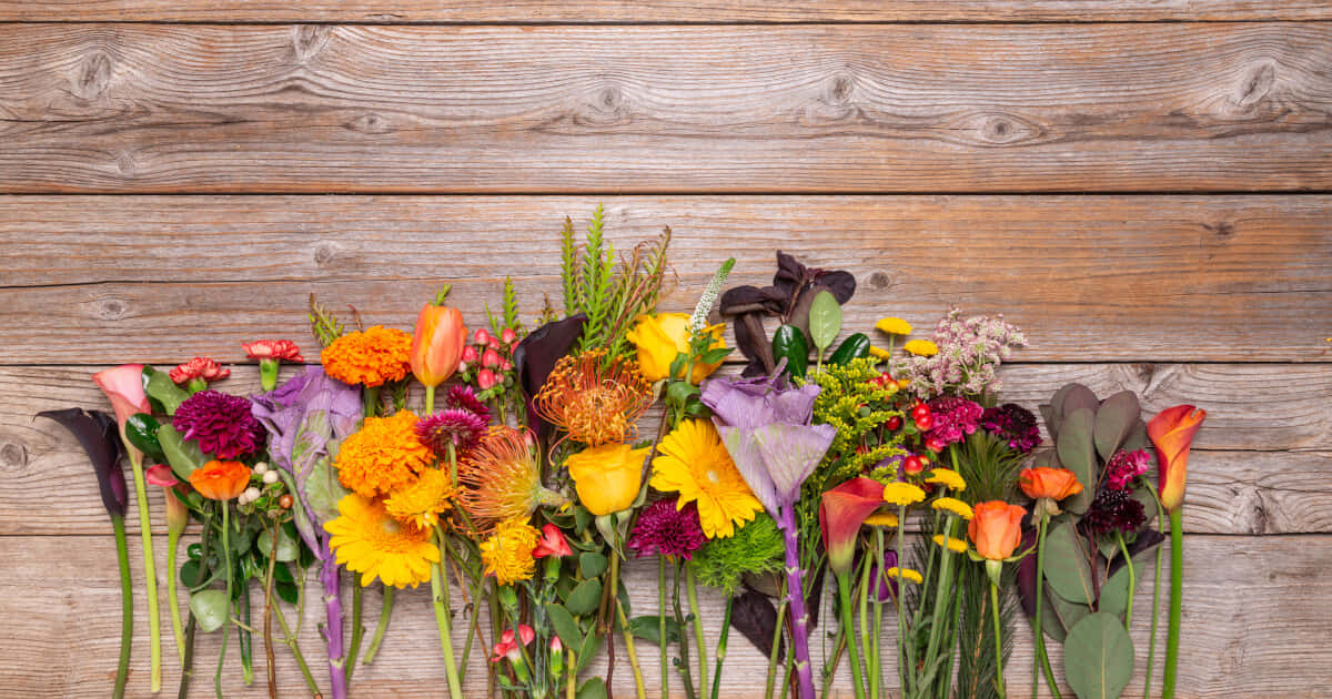 Beautiful Assortment Of Fall Flowers In Full Bloom Wallpaper