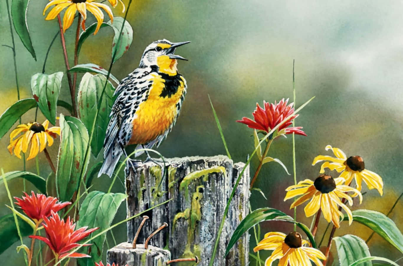 Beautiful Birds Chirping In Nature Wallpaper