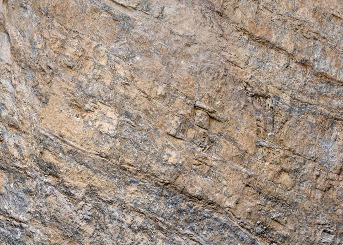 Beautiful Brown Stone Texture Wallpaper