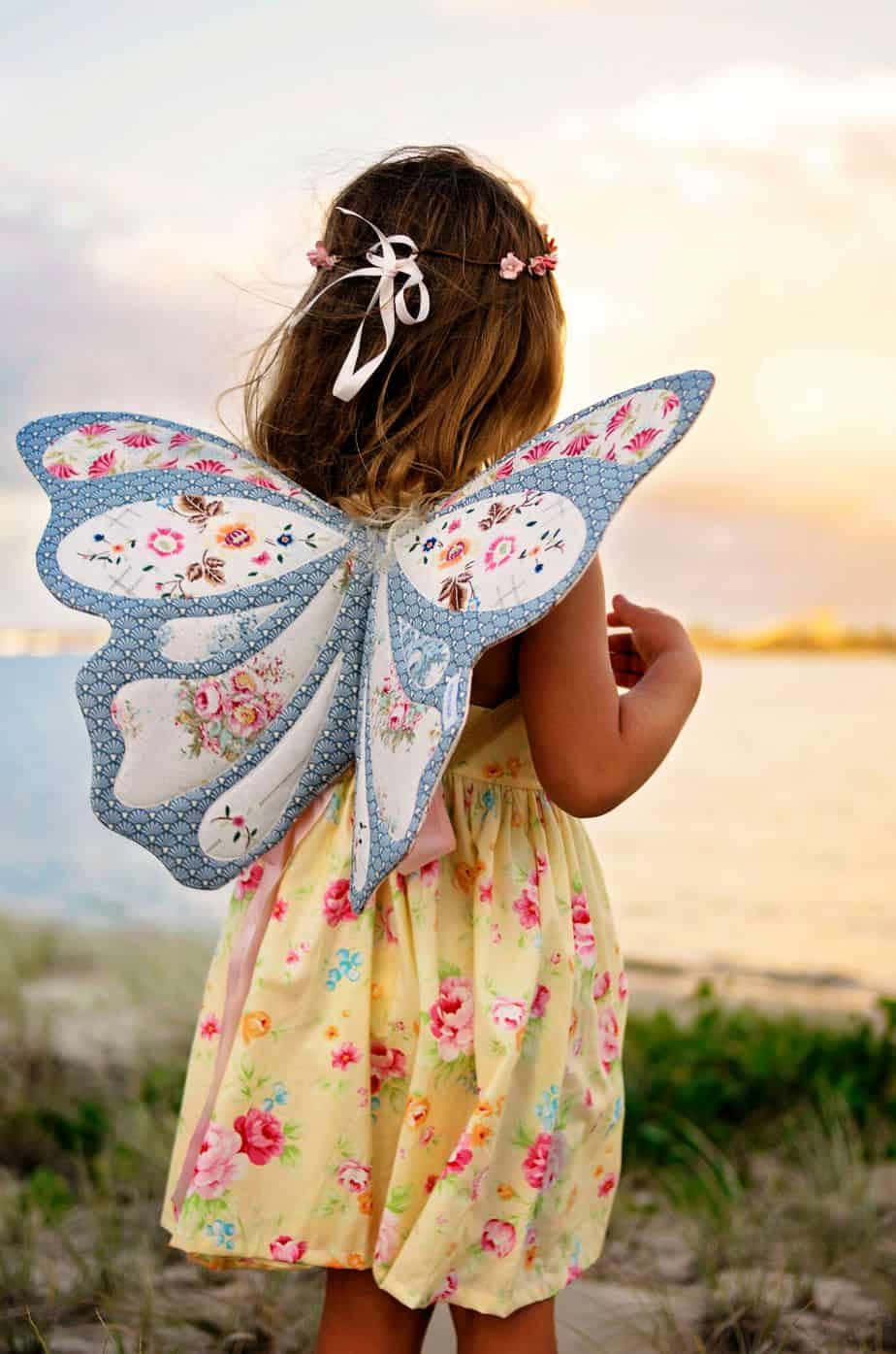 Beautiful Butterfly Wing Dress