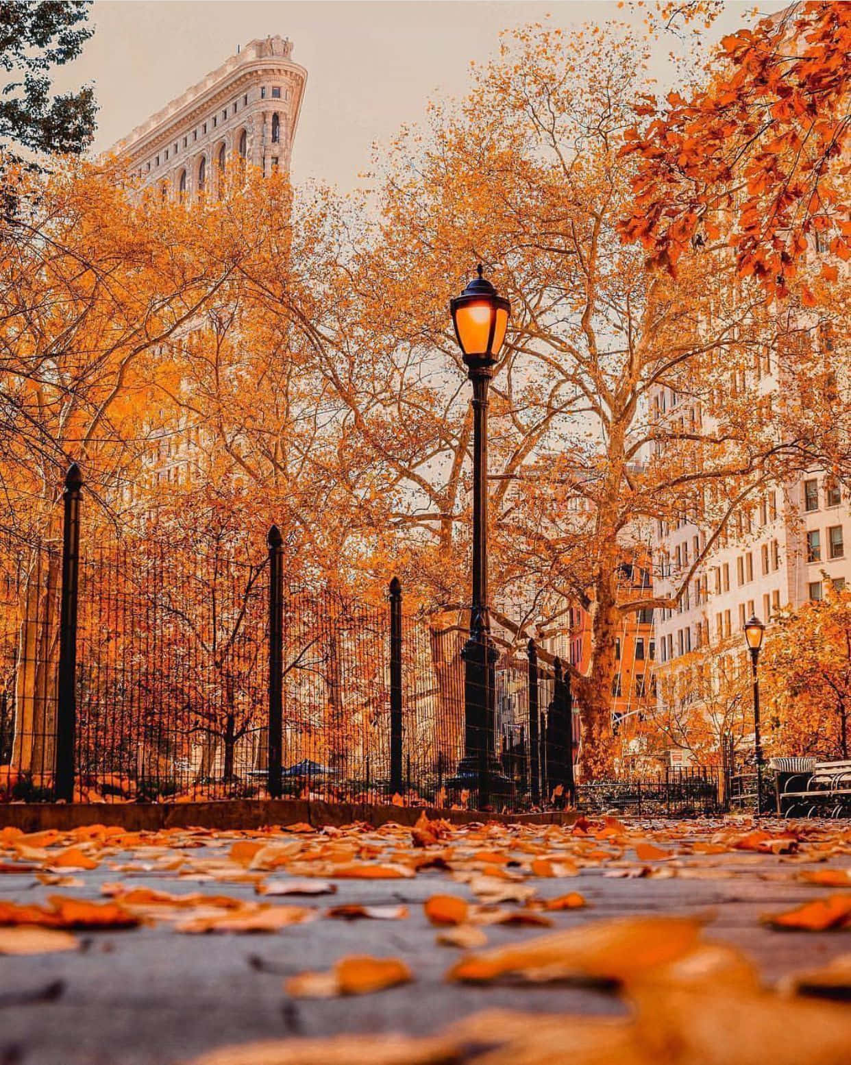 Beautiful Fall Town Scenery Wallpaper