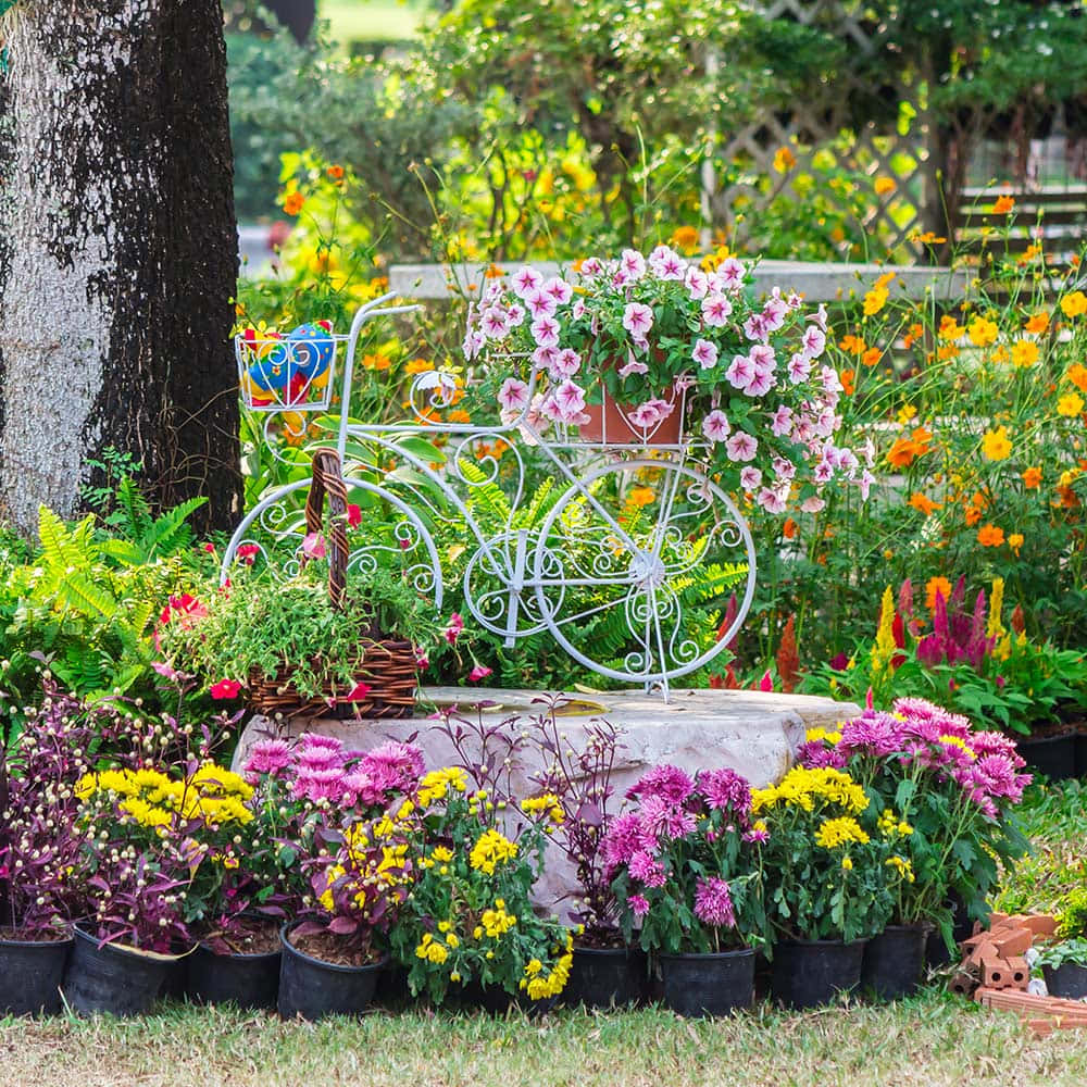 Beautiful Garden Flower Cart Wallpaper