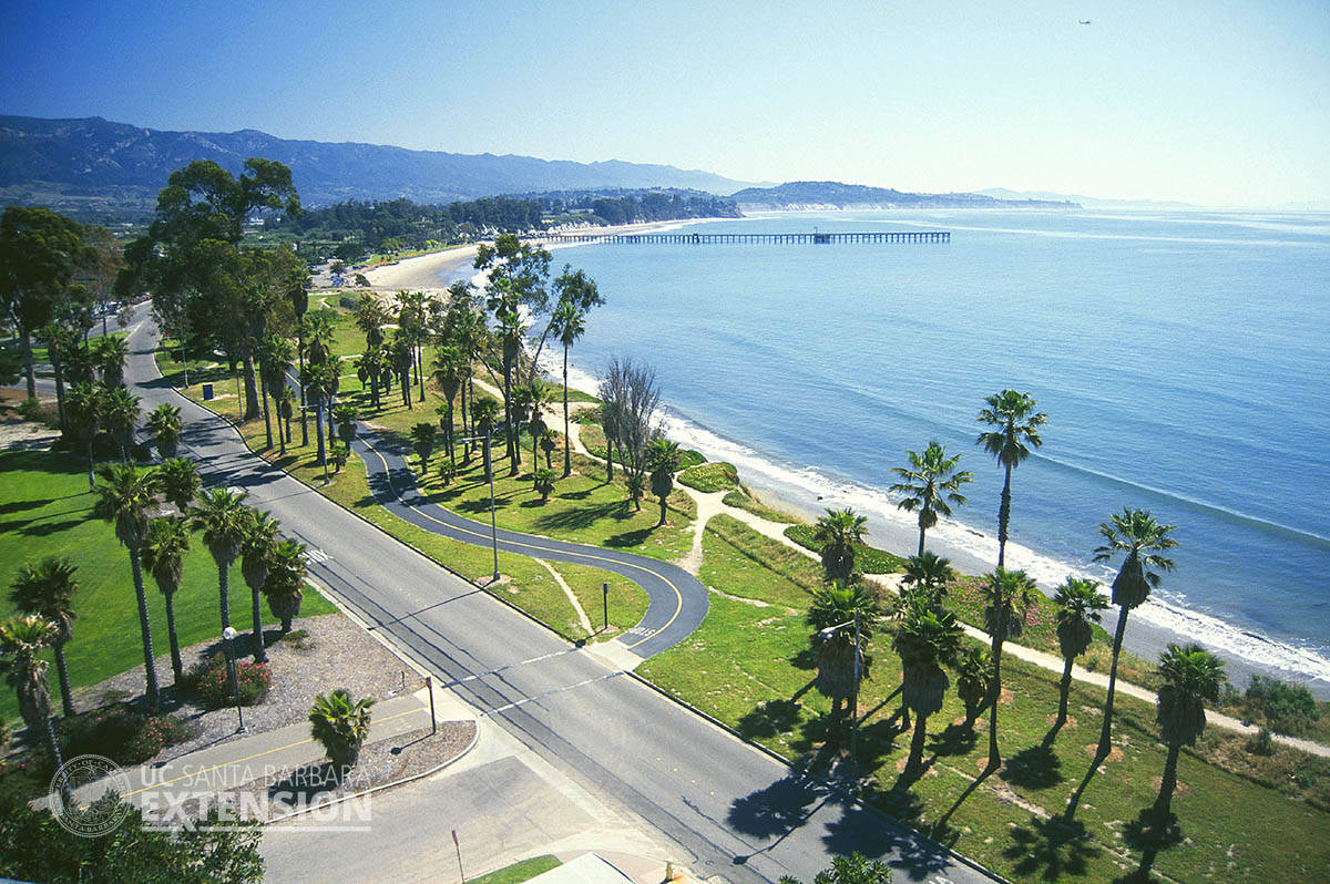 Beautiful Nature Ucsb Campus Wallpaper