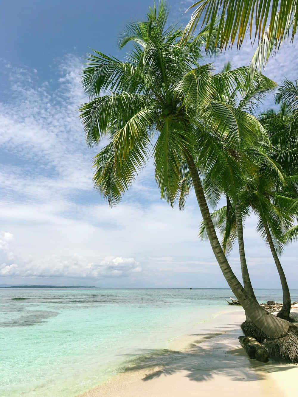 Beautiful Sea With Palm Trees Wallpaper