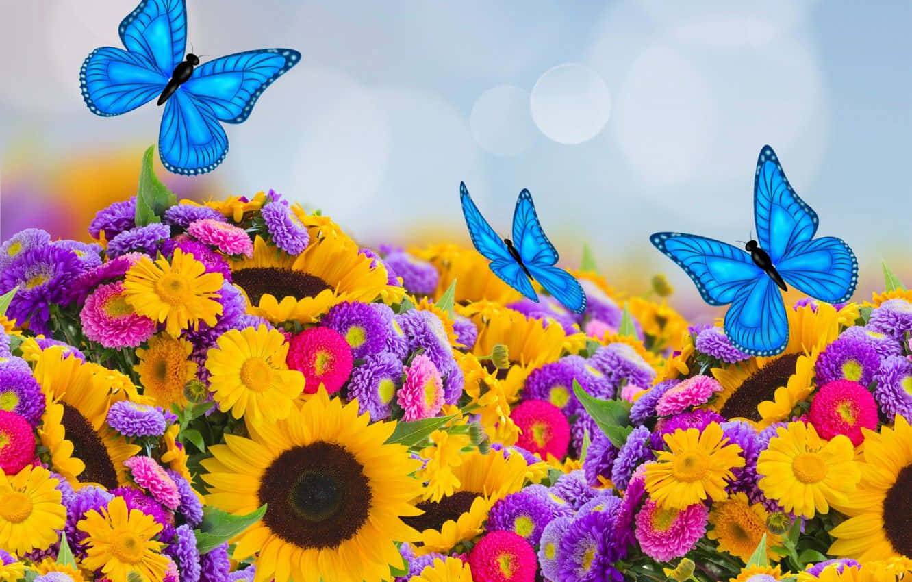 Beautiful Spring Butterflies On Blossoming Flowers Wallpaper