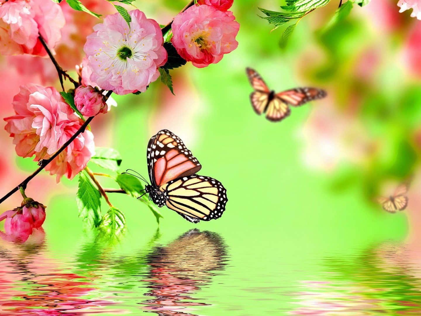 Beautiful Spring Butterflies On Colorful Blooms Wallpaper