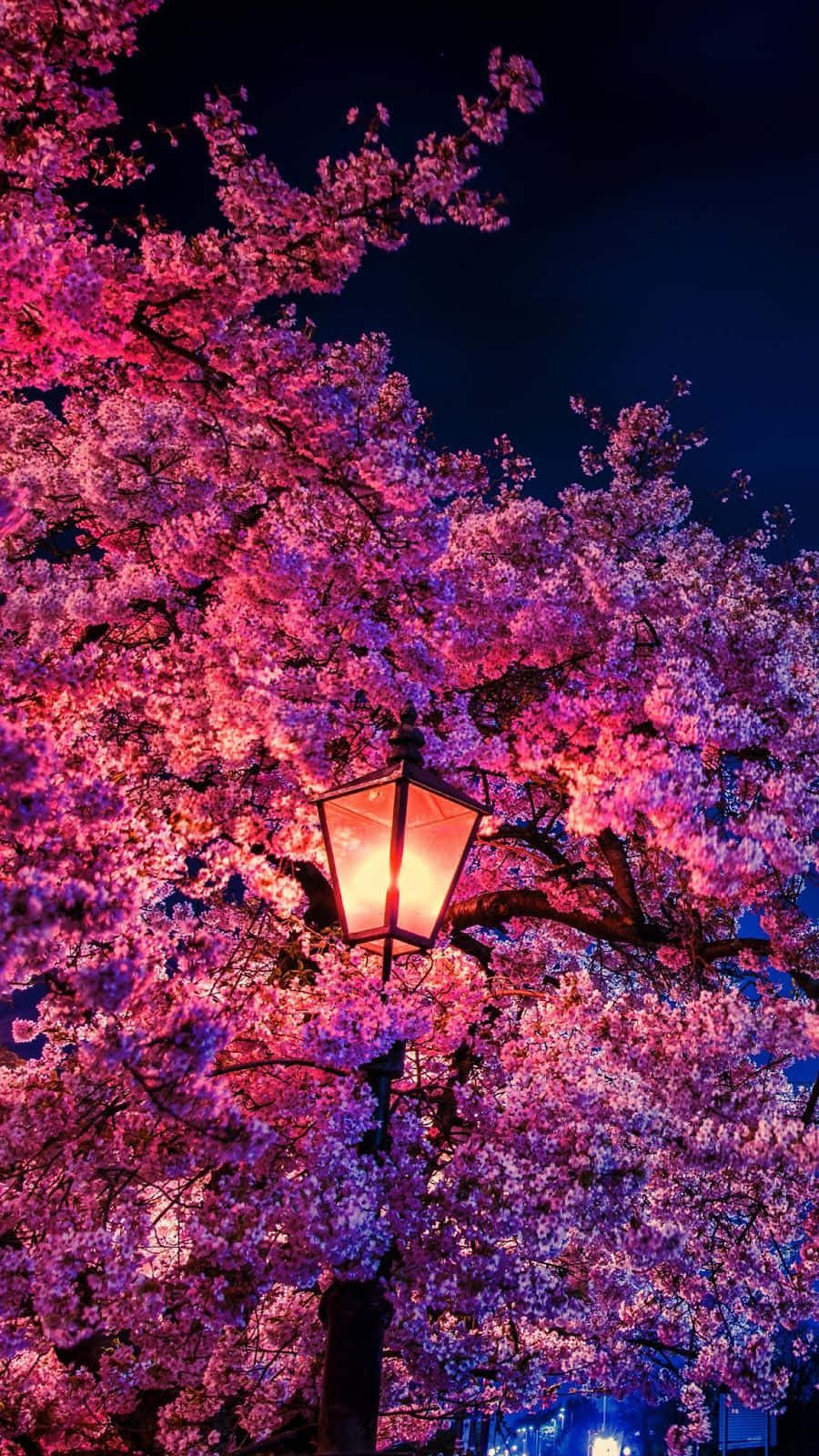 Beautiful Spring Lights Wallpaper