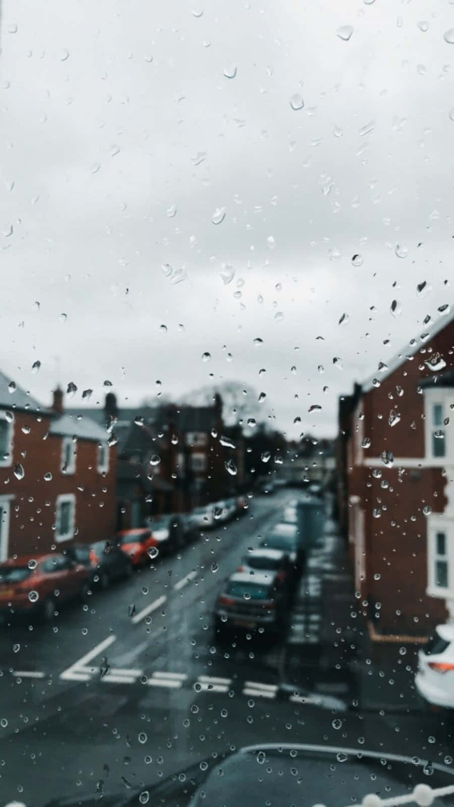 Beauty In The Rain Wallpaper