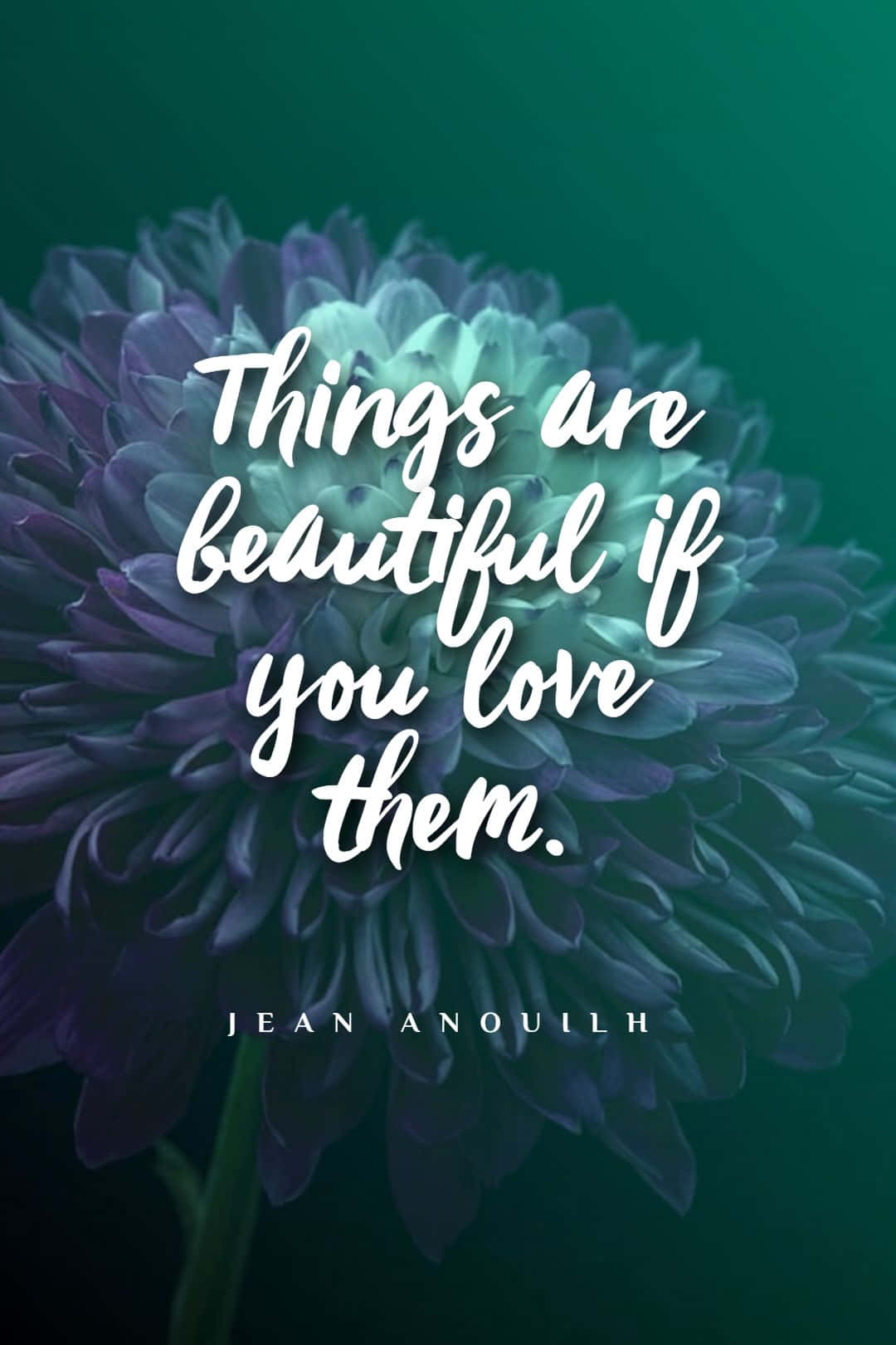 Beauty Love Quote Floral Background Wallpaper