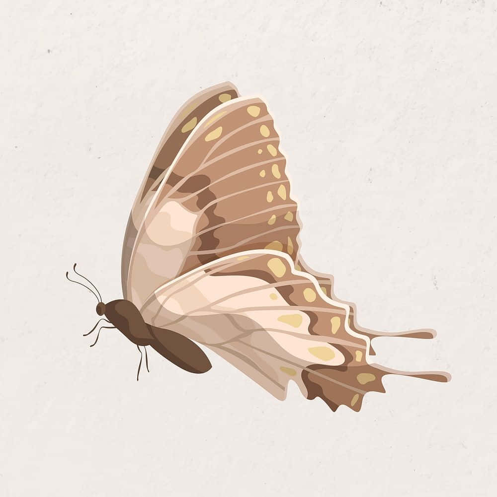 Beige Butterfly Illustration Wallpaper