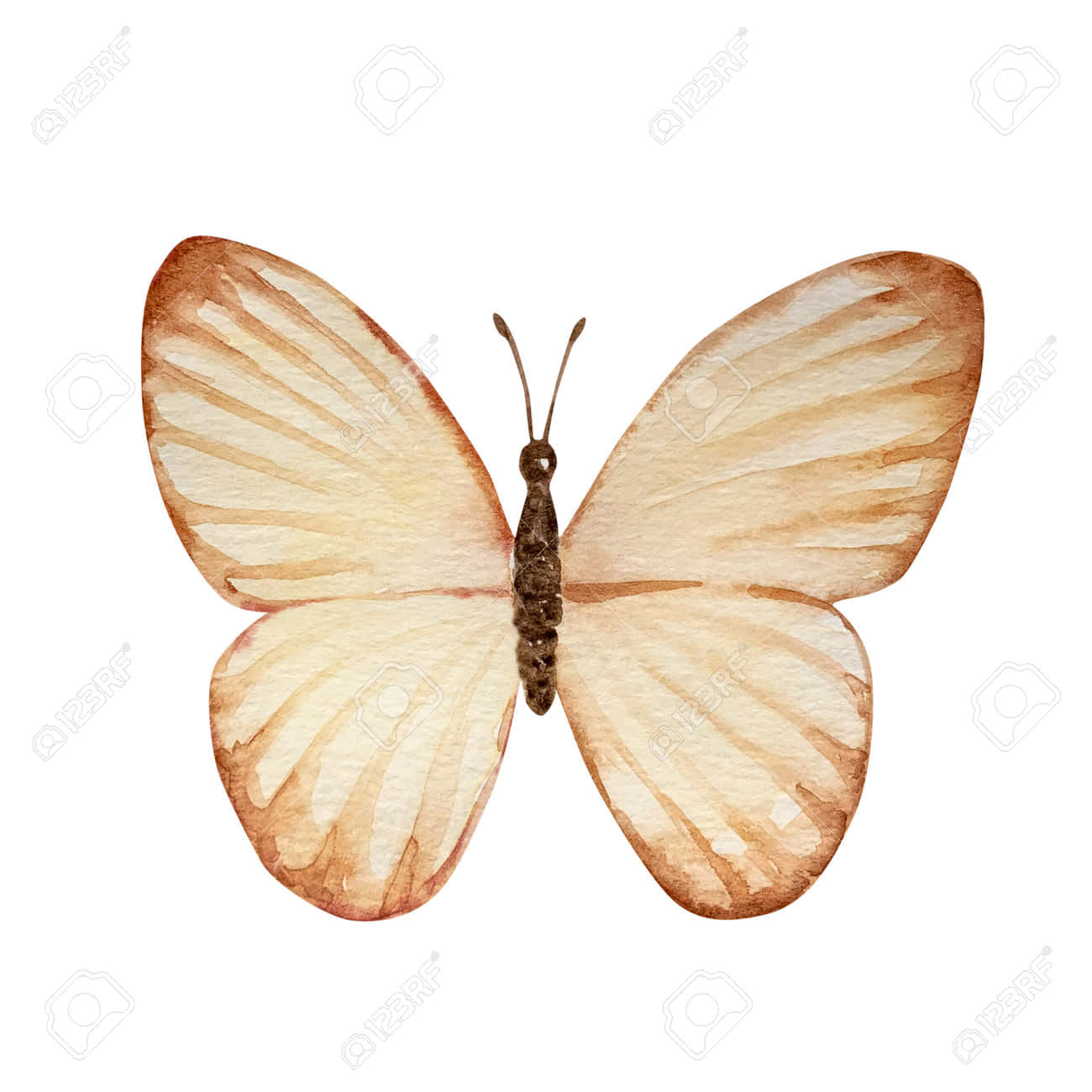 Beige Butterfly Watercolor Art Wallpaper