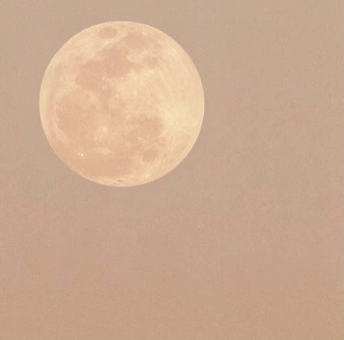 Beige Moon Aesthetic Wallpaper