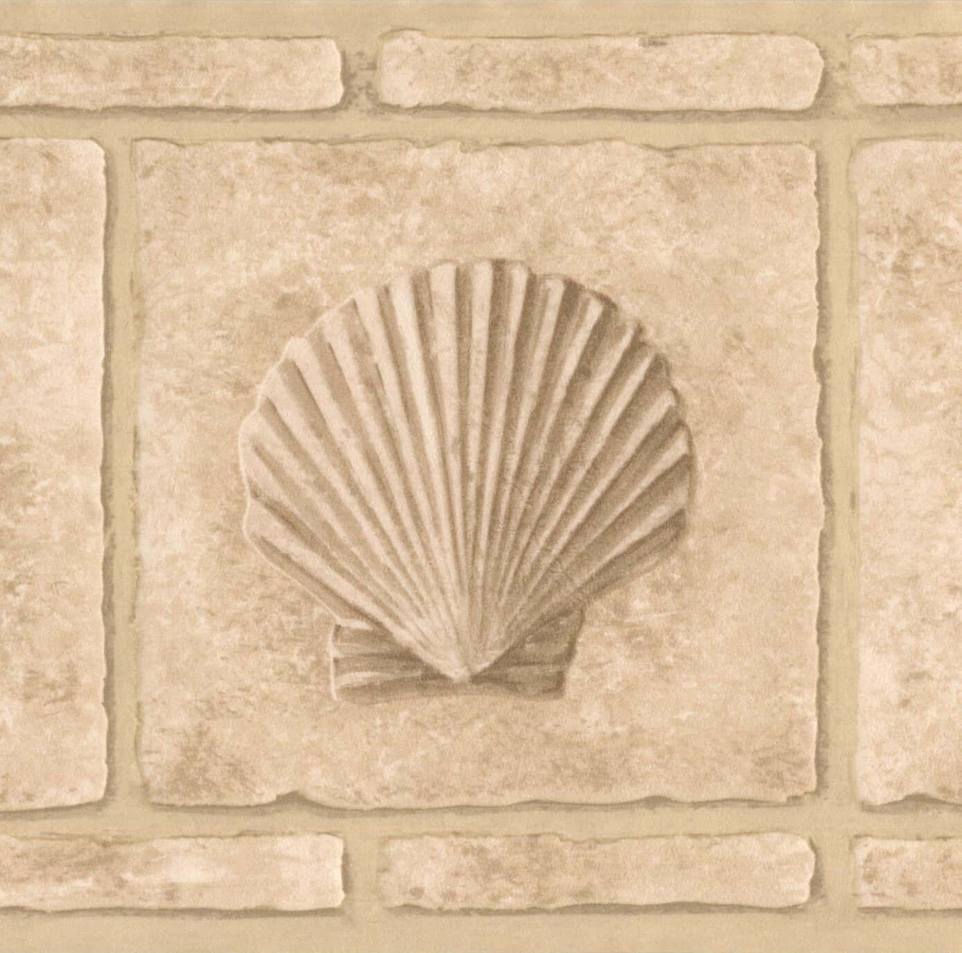 Beige Seashell Wall Decor Wallpaper