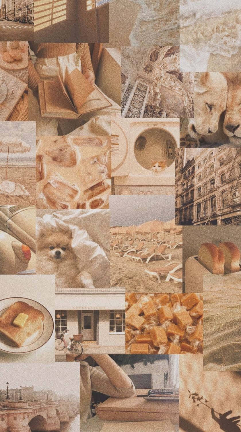 Beige Tan Aesthetic Collage Wallpaper