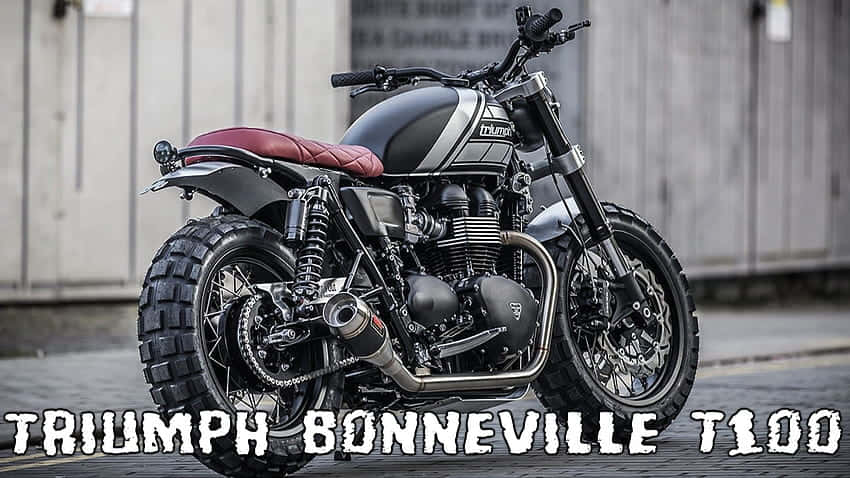 Belligerent Triumph Bonneville T100 Wallpaper