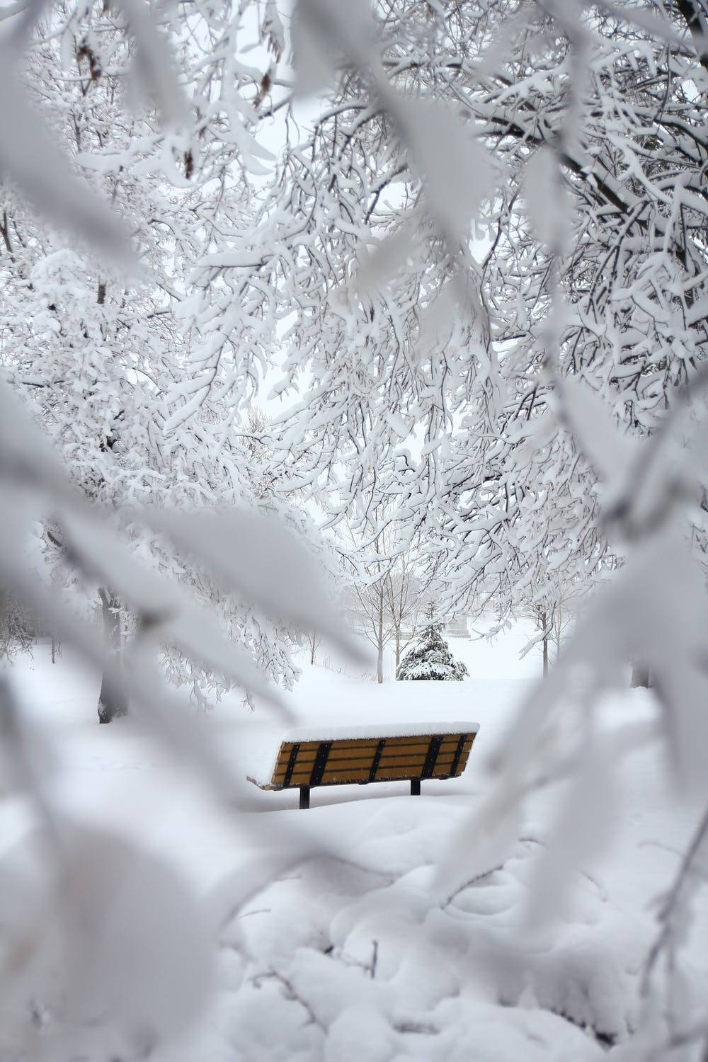 Bench In Snow Winter Iphone Wallpaper