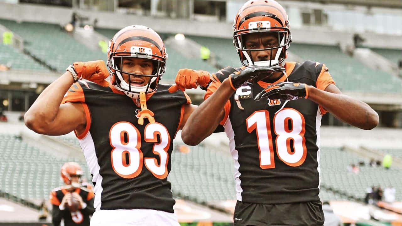 Bengals Players Celebratory Pose Wallpaper