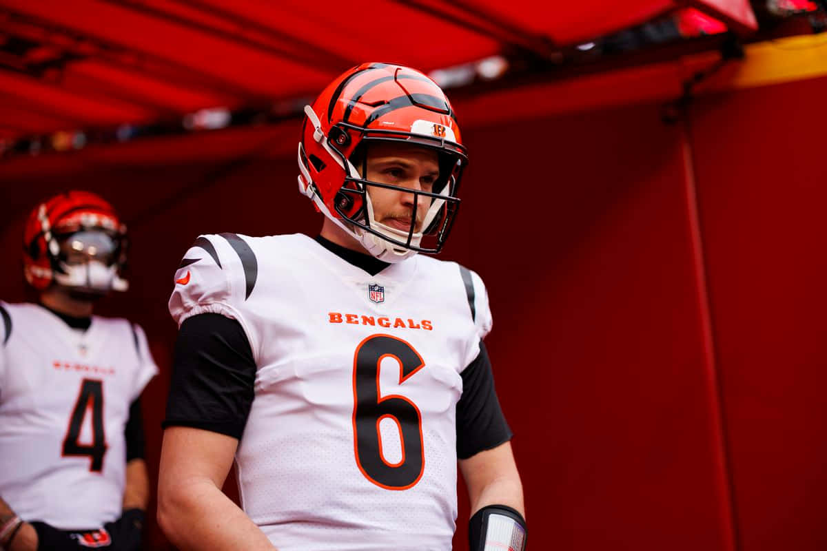 Bengals Quarterback Number6 Wallpaper