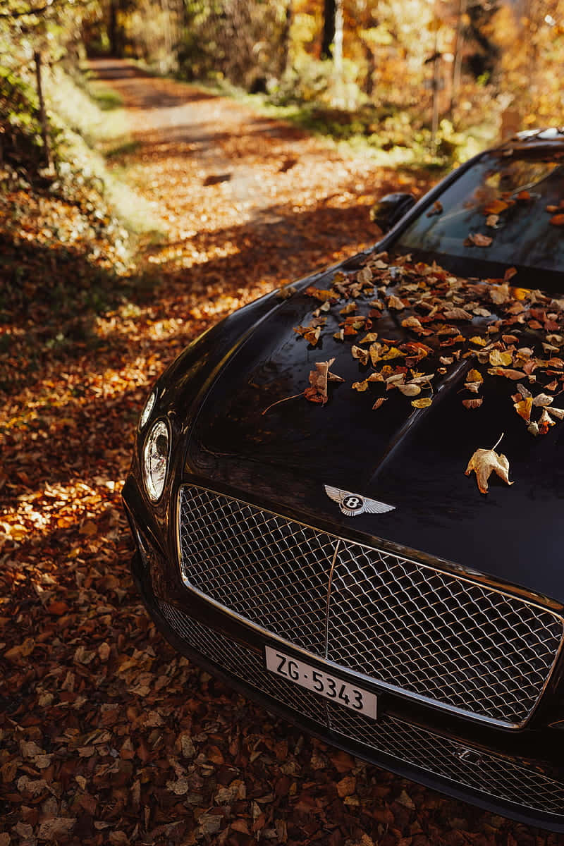 Bentley Continental Gt: Luxurious And Powerful Wallpaper