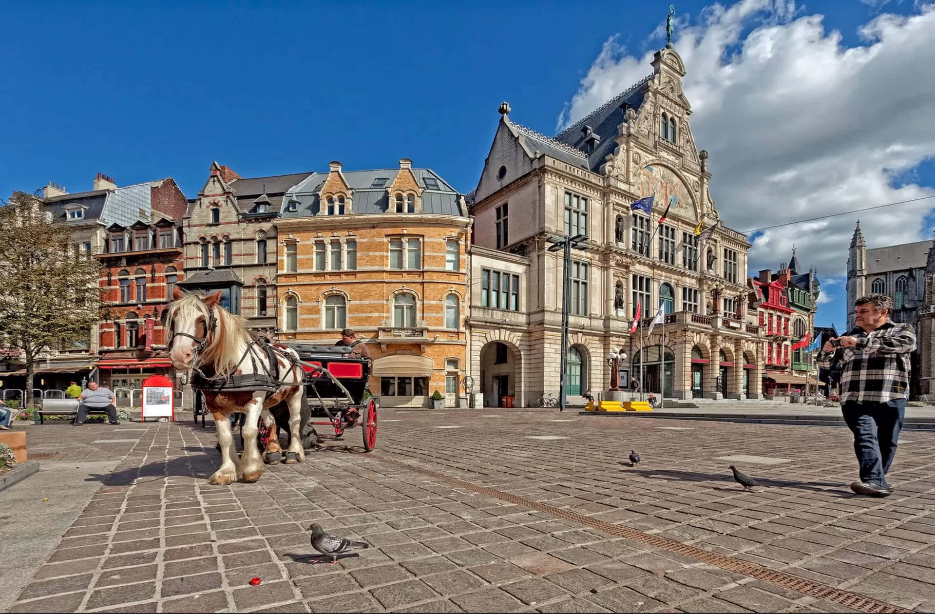 Bergen Op Zoom Town Square Horse Carriage Wallpaper