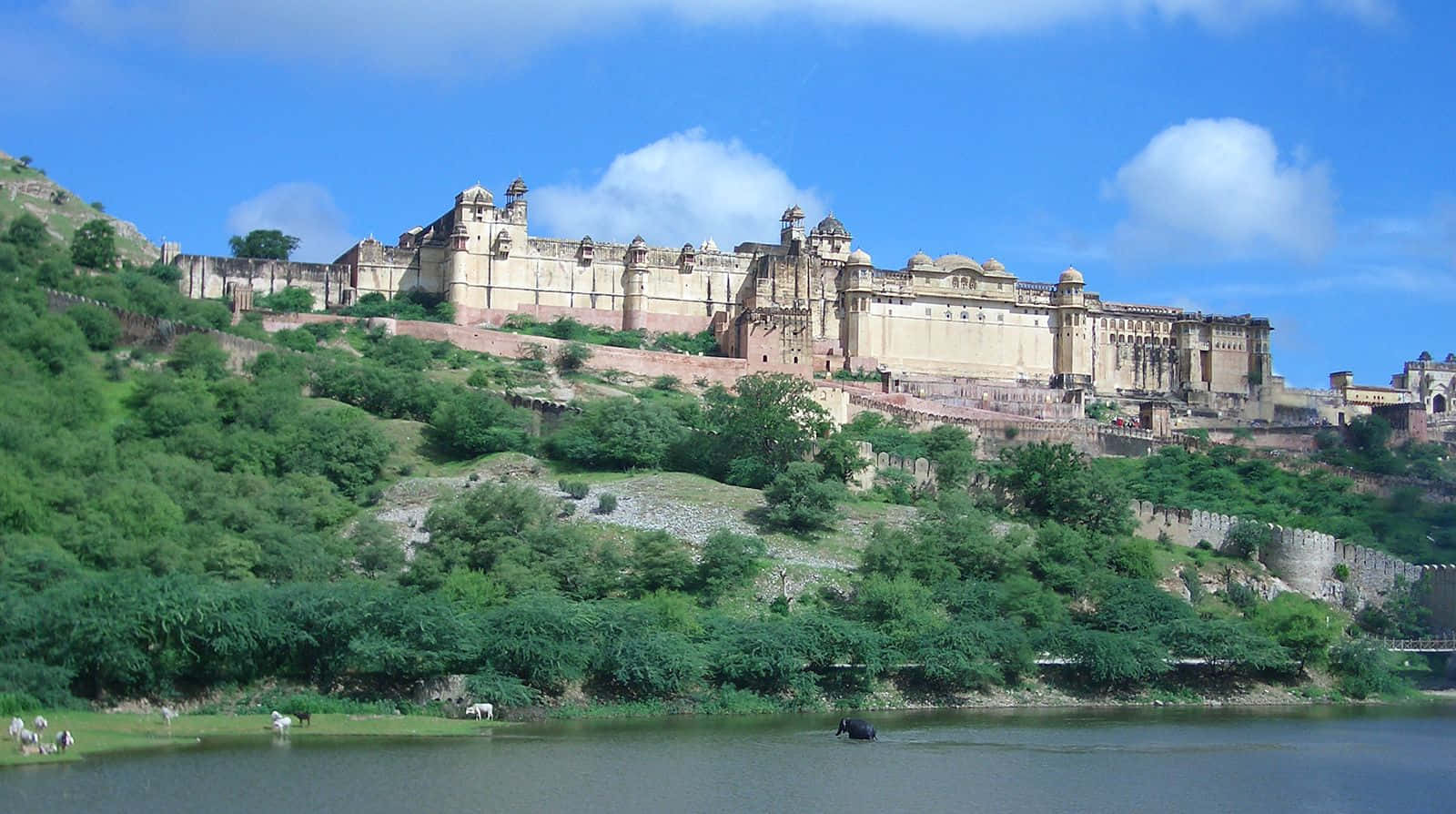 Best View Of Amer Fort Wallpaper