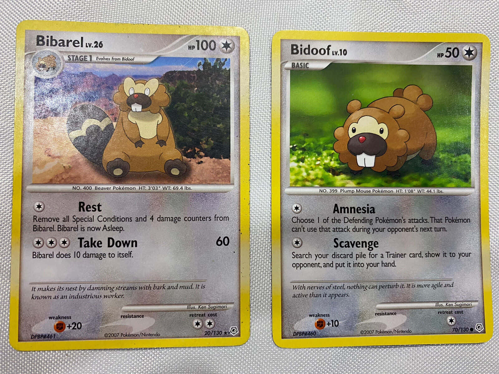 Bibarel And Bidoof Card Wallpaper