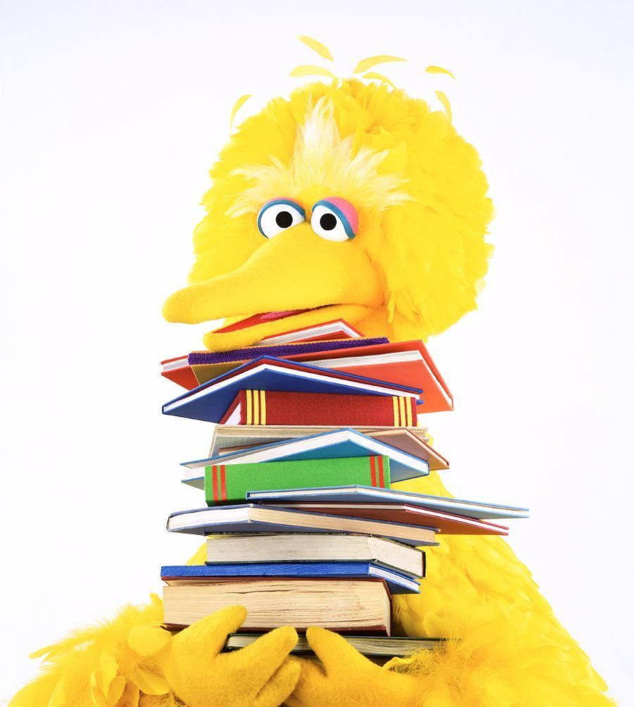 Big Bird Holding Books Wallpaper