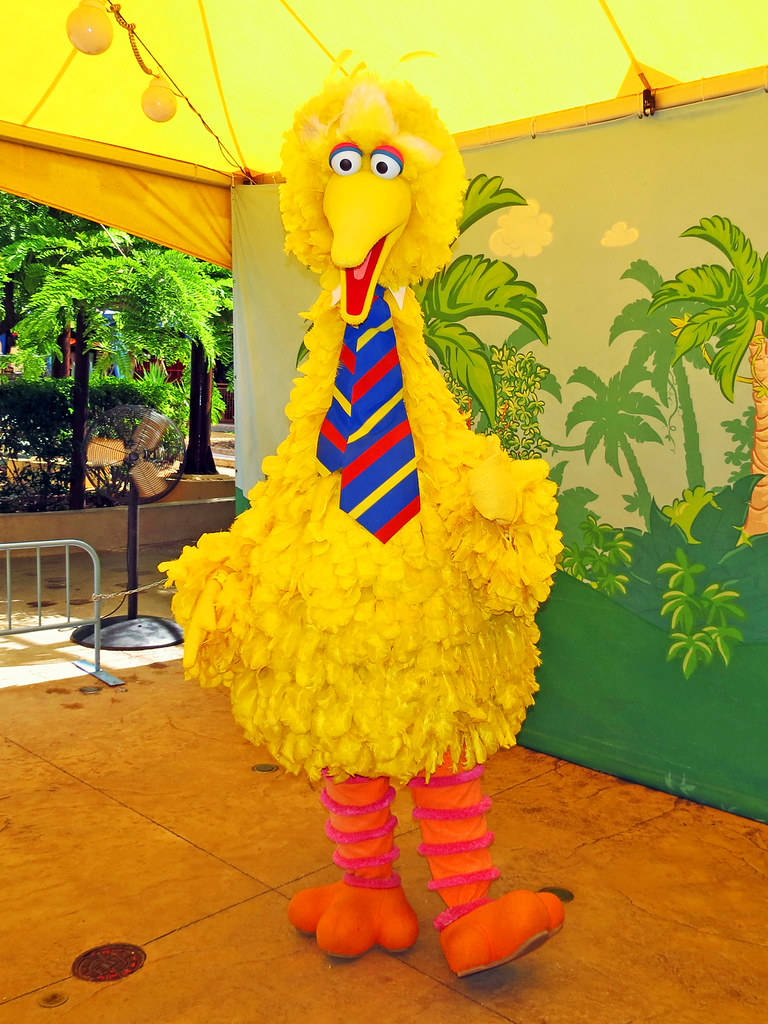 Big Bird Posing With Necktie Wallpaper