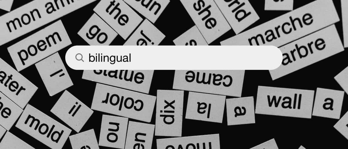 Bilingual Search Bar Wallpaper