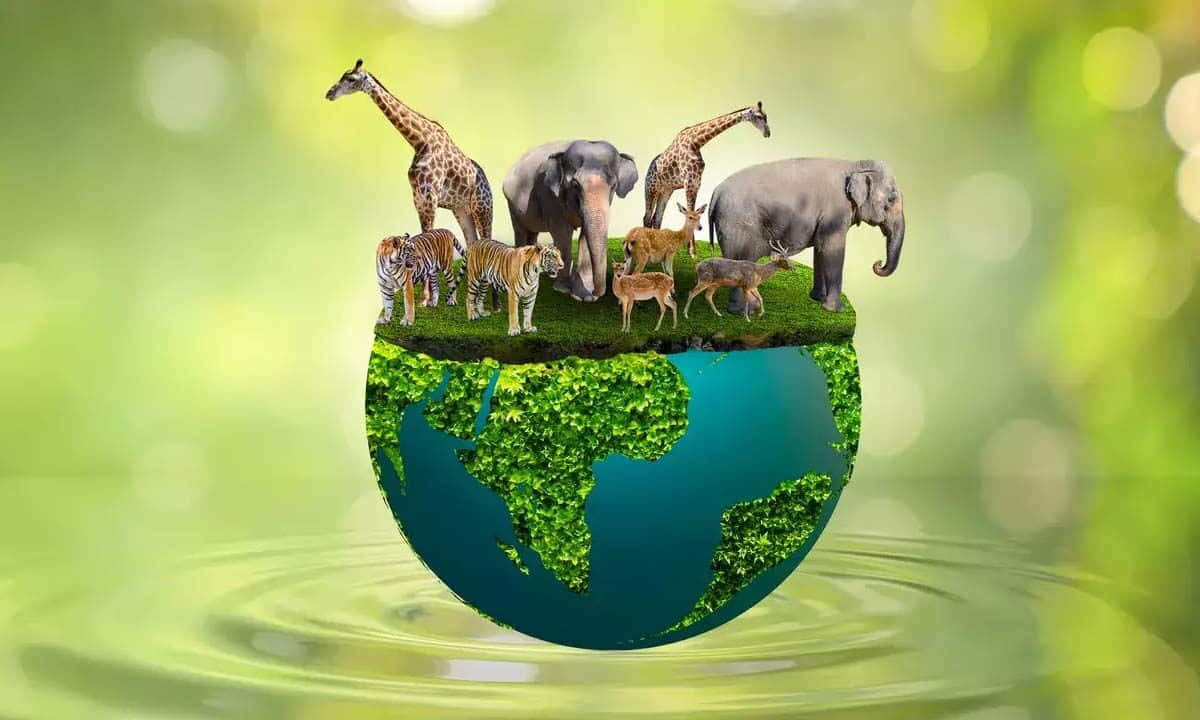 Biodiversityon Earth Concept Wallpaper