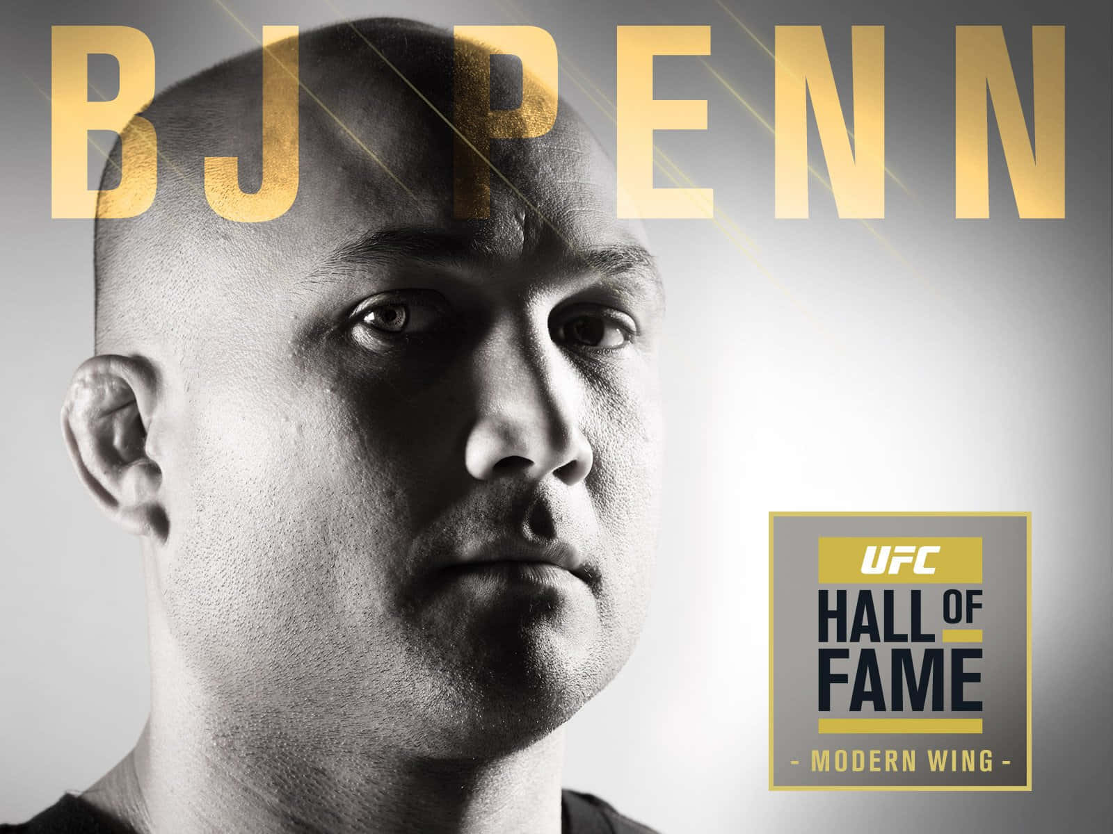 Bj Penn Ufc Hall Of Fame Wallpaper