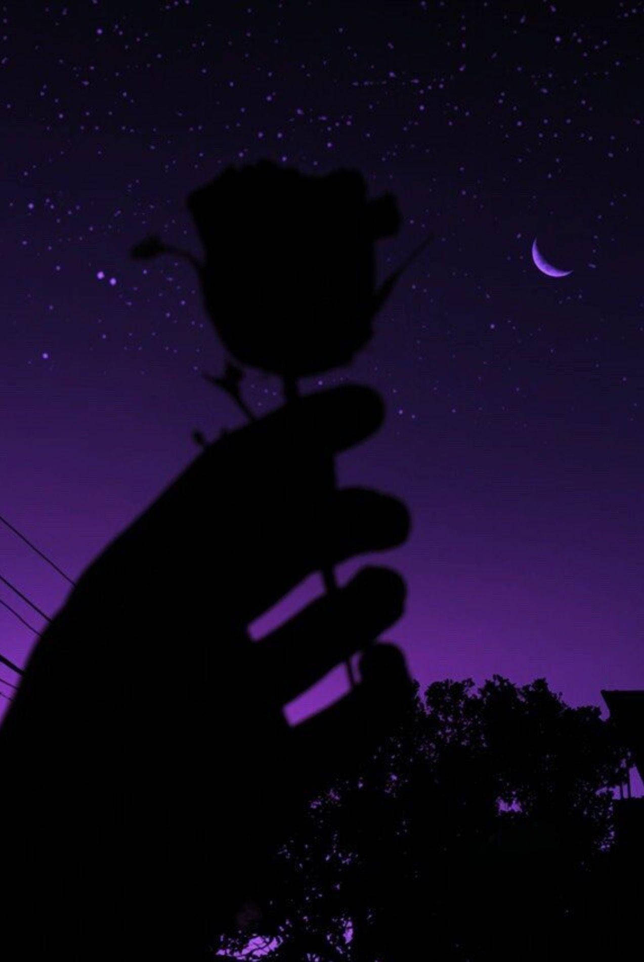 Black And Purple Aesthetic Rose Wallpaper