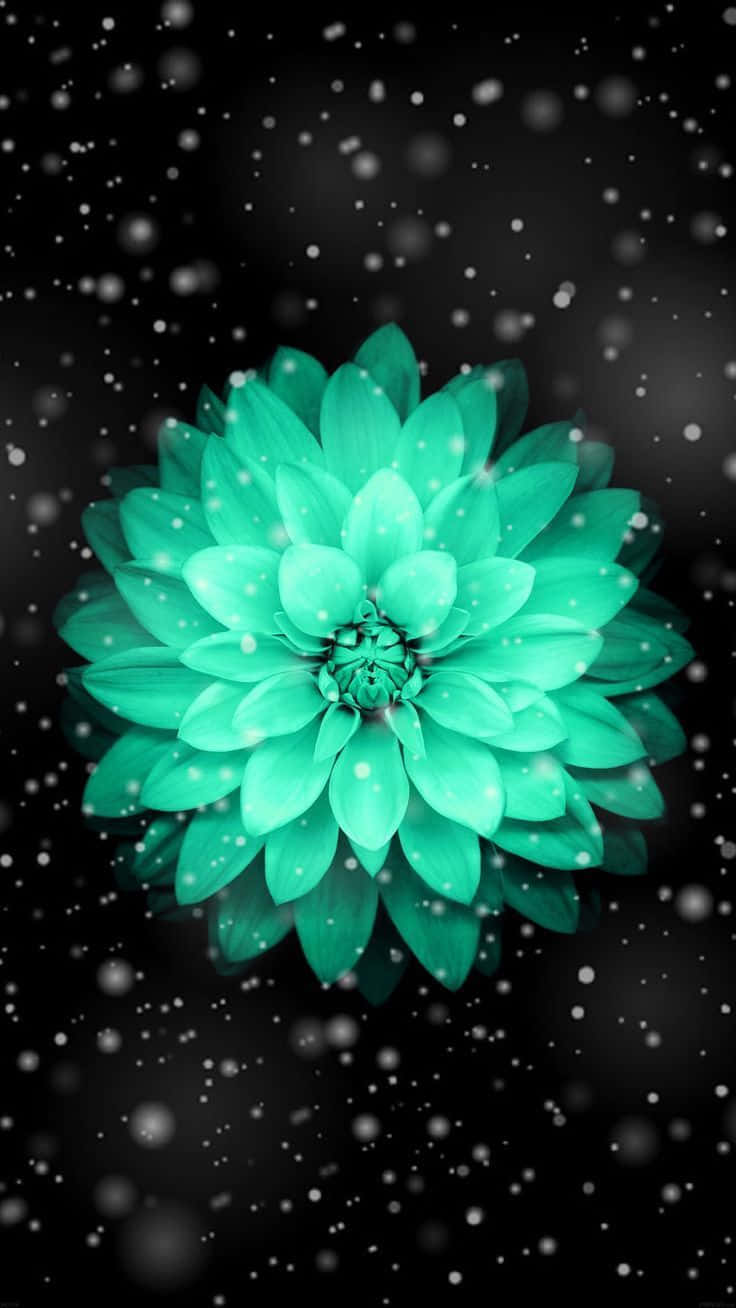 Black And Teal Flower Wallpaper