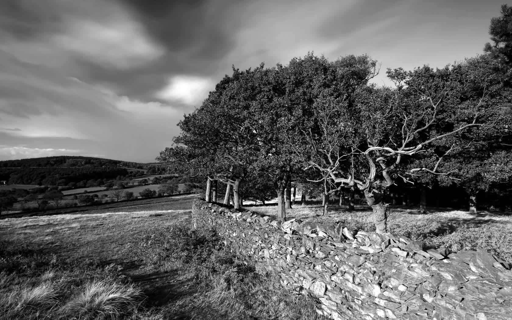 Black And White Mountain Landscape Wallpaper