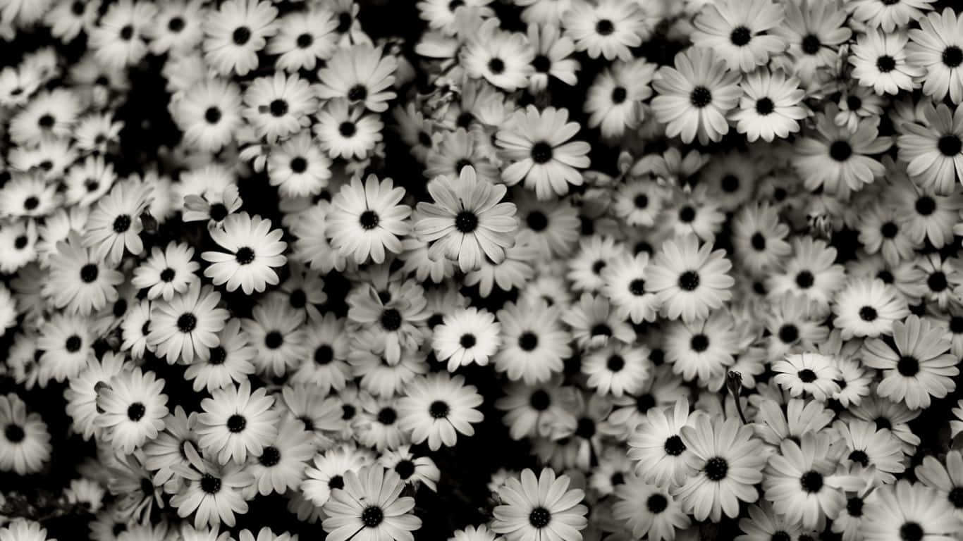 Black And White Photo Of A Bunch Of Flowers Wallpaper