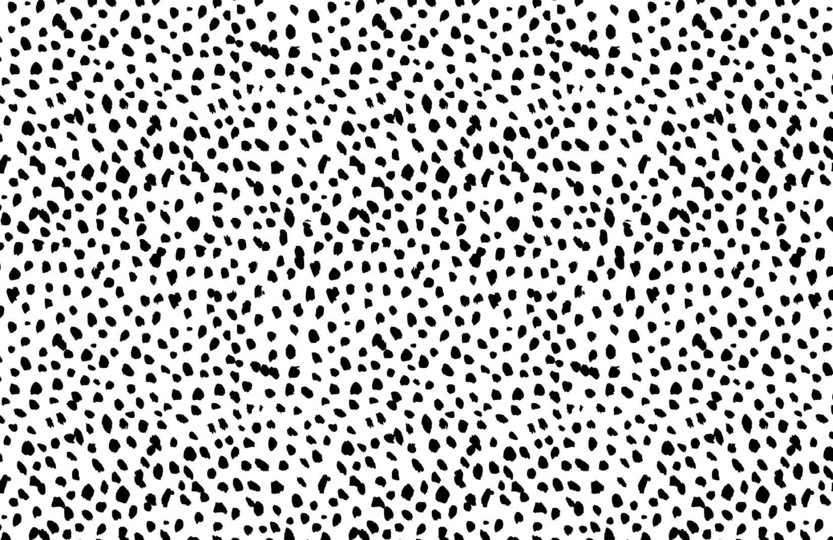 Black And White Polka Dot Pattern Wallpaper