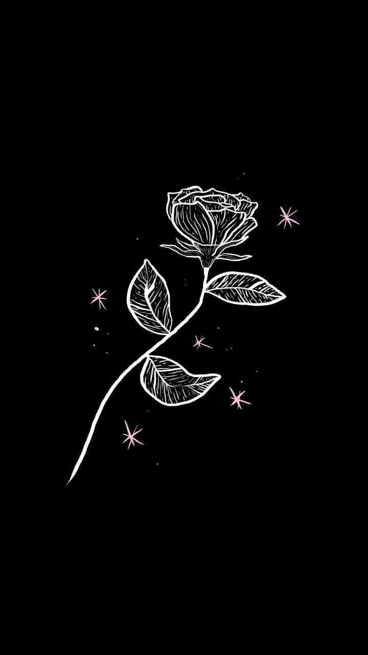 Black Background White Rose Art Wallpaper