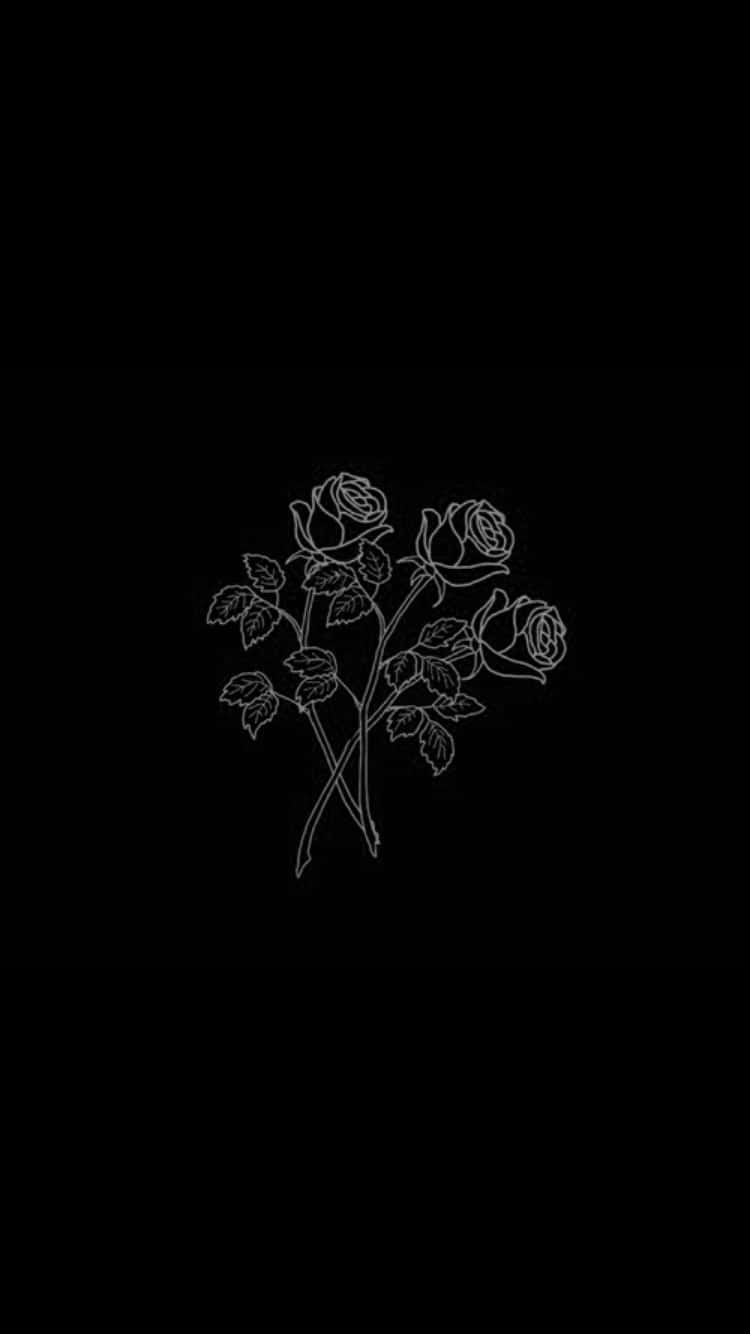 Black Background White Rose Sketch Wallpaper