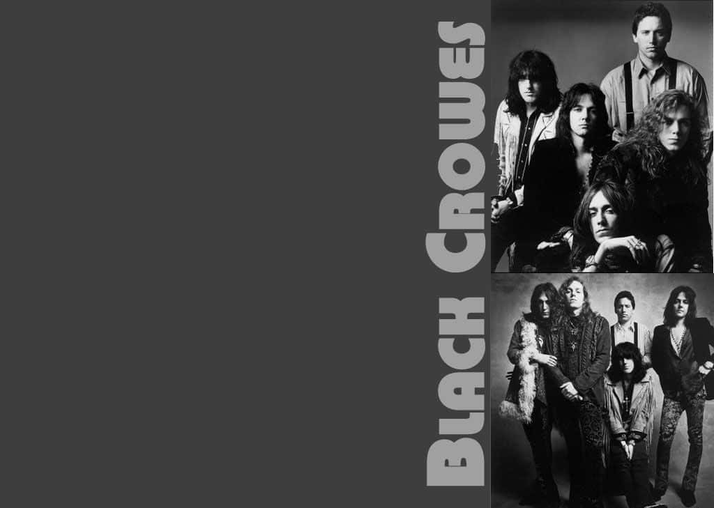 Black Crowes Music Group Wallpaper