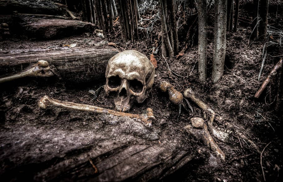 Black Horror Bones In Forest Wallpaper