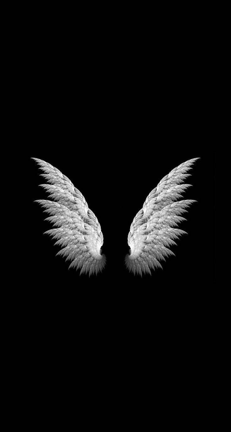 Black Love Wings Wallpaper