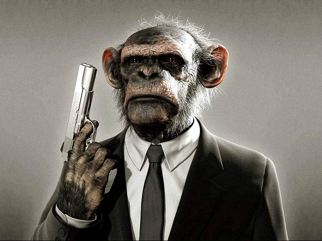 Black Monkey Holding Gun Wallpaper