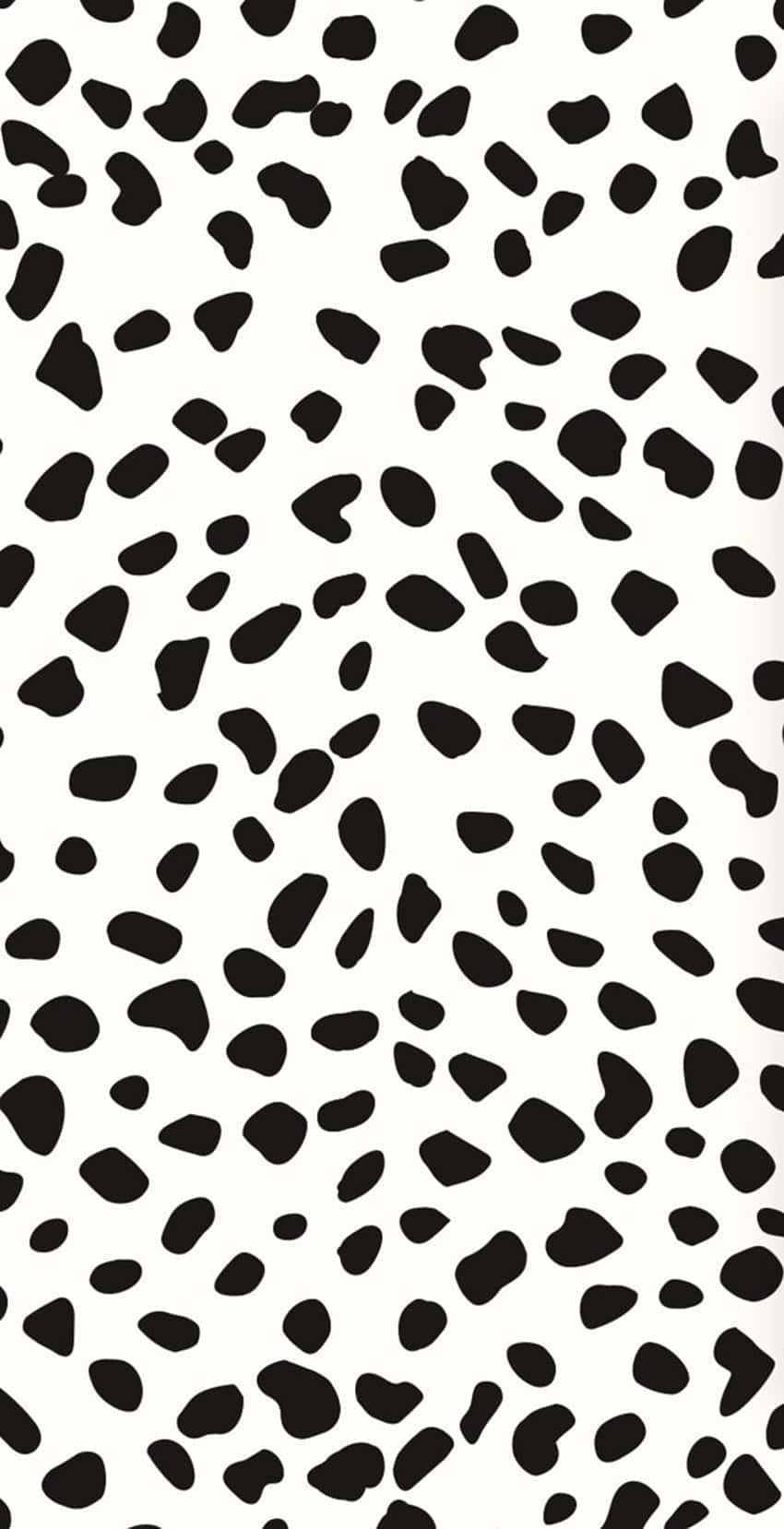 Blackand White Cow Print Pattern Wallpaper