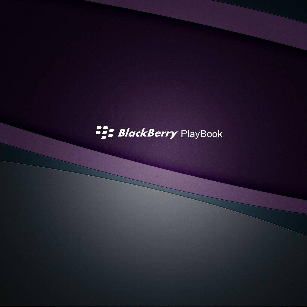 Blackberry Dark Purple Wallpaper