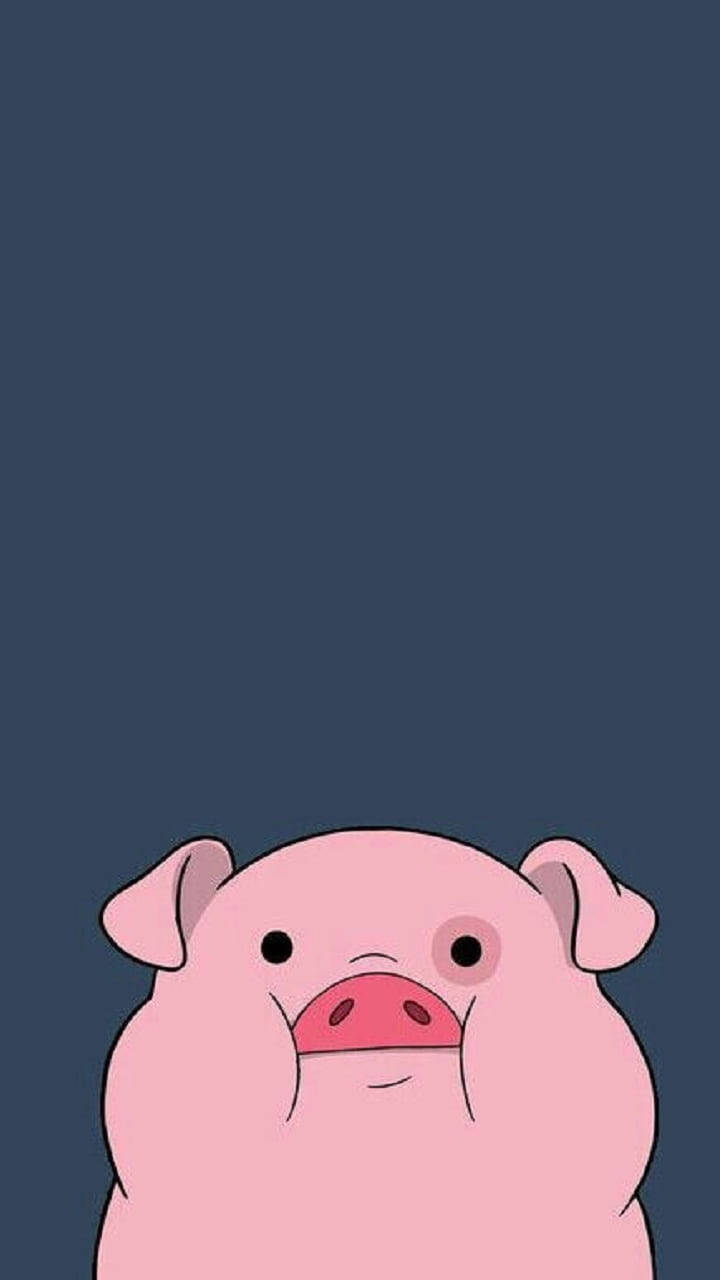 Blank Piggy Stare Wallpaper