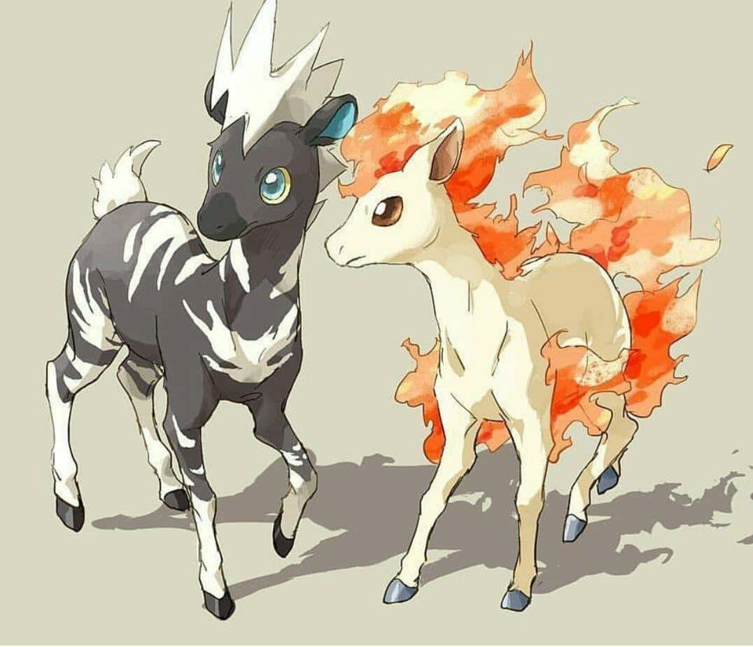 Blitzle And Ponyta Wallpaper