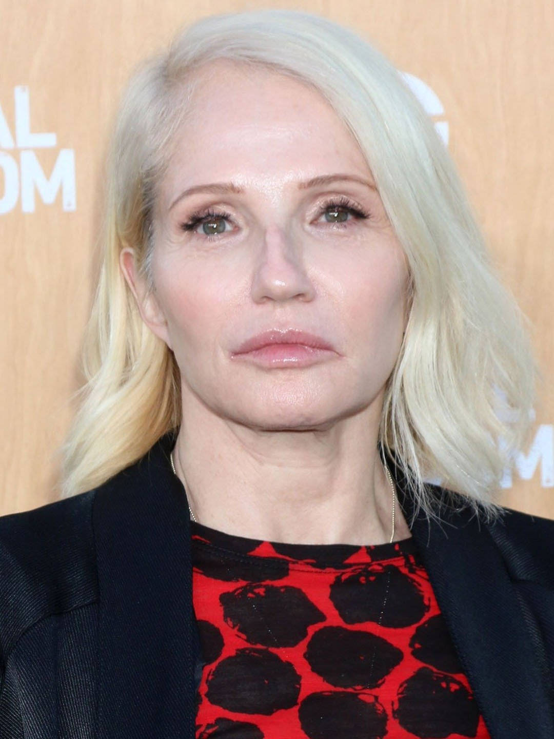 Blonde Actress Ellen Barkin Wallpaper