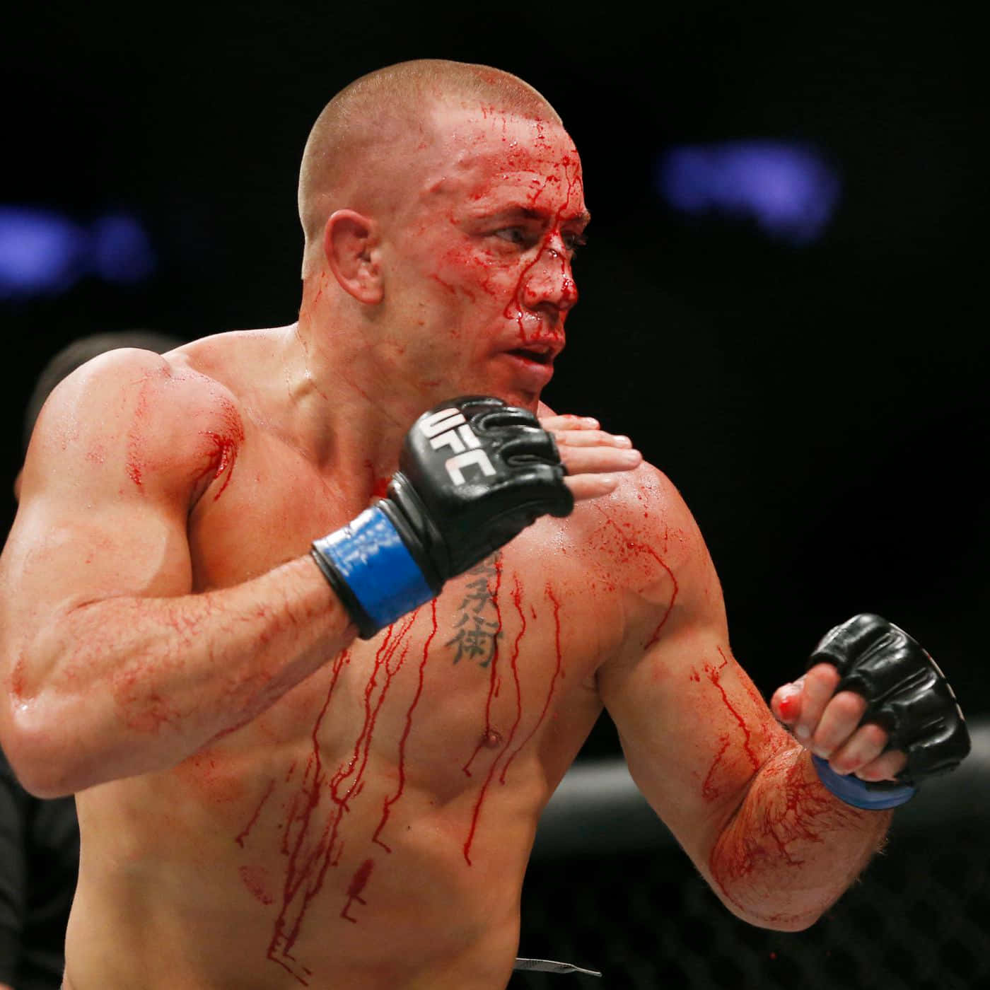 Bloody Georges St-pierre Martial Artist Wallpaper