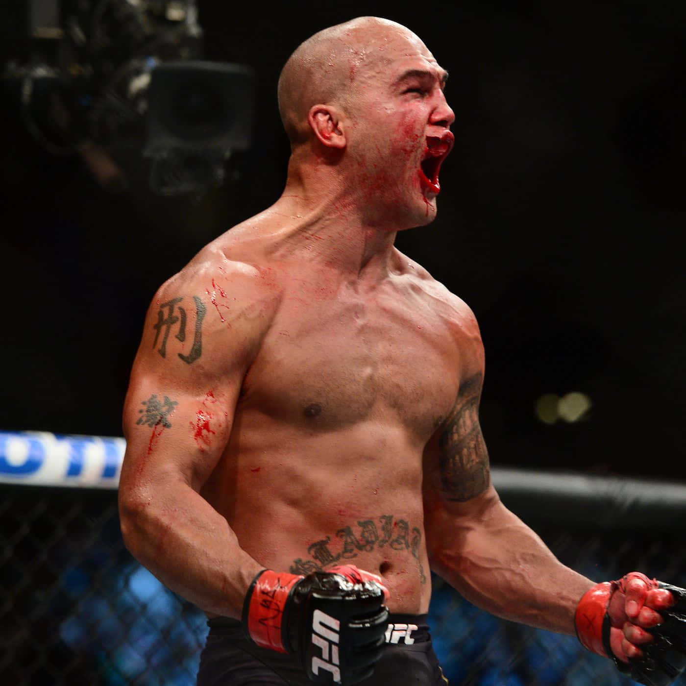 Bloody Robbie Lawler Ufc 189 Wallpaper