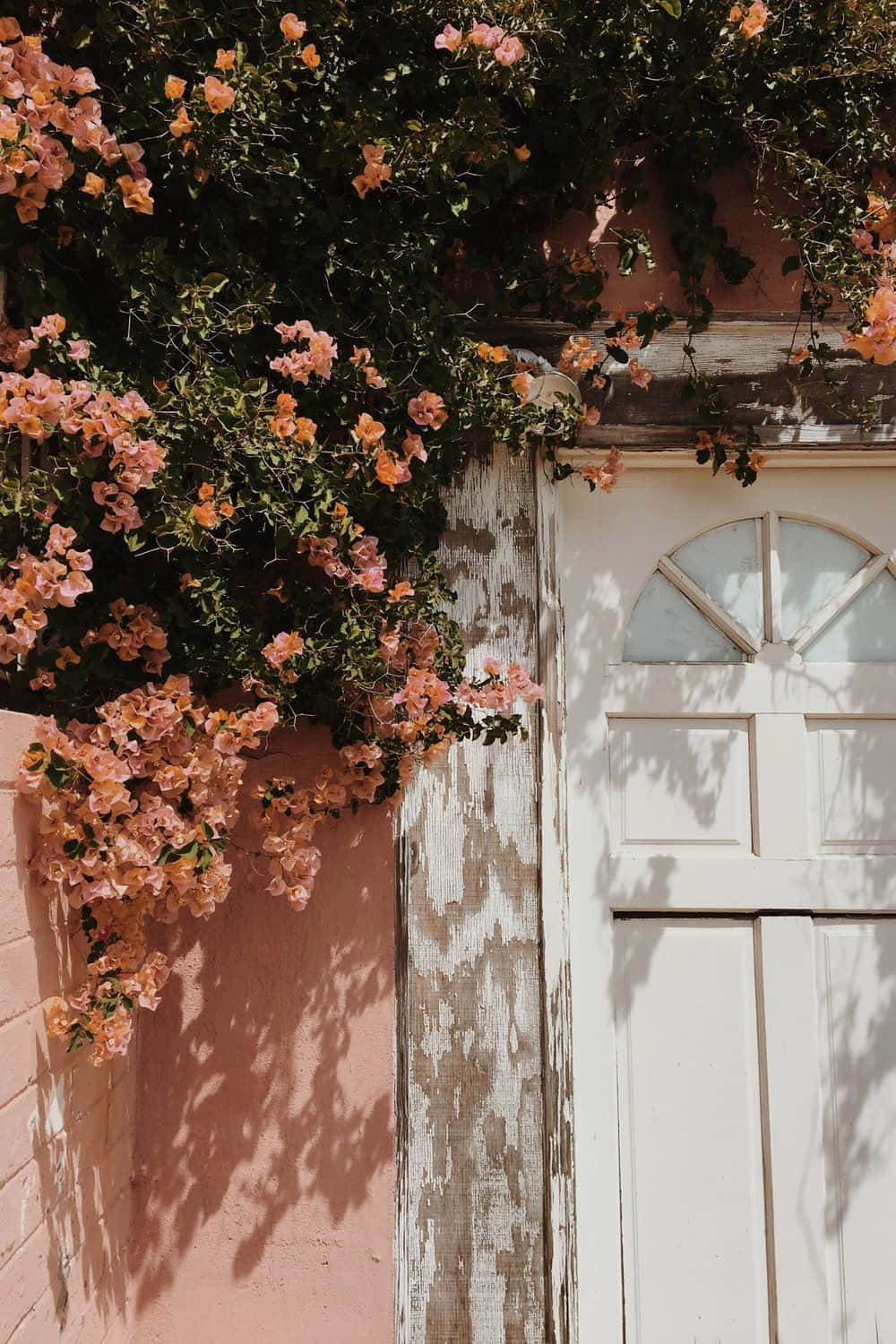 Blooming Bougainvillea Over Doorway Wallpaper